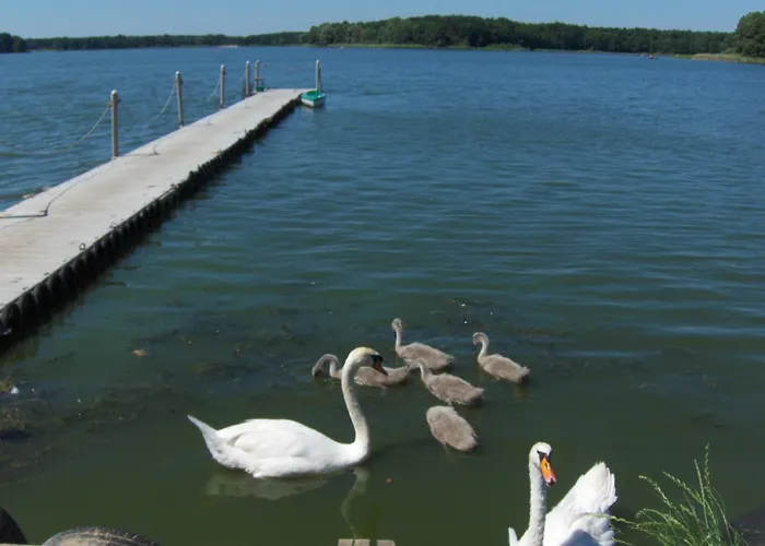 Nad Jeziorem Parter Holiday home