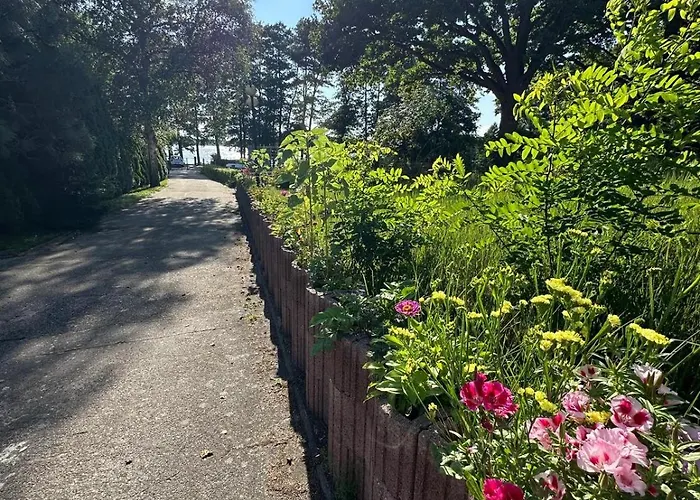 Nad Jeziorem Parter Rudno (Wolsztyn)